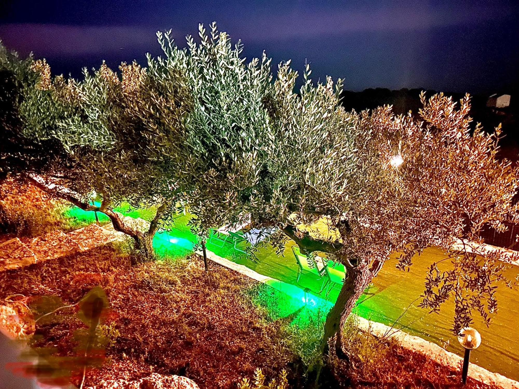 La Collina sul Mare Bed & Breakfast Palma di Montechiaro Exterior foto